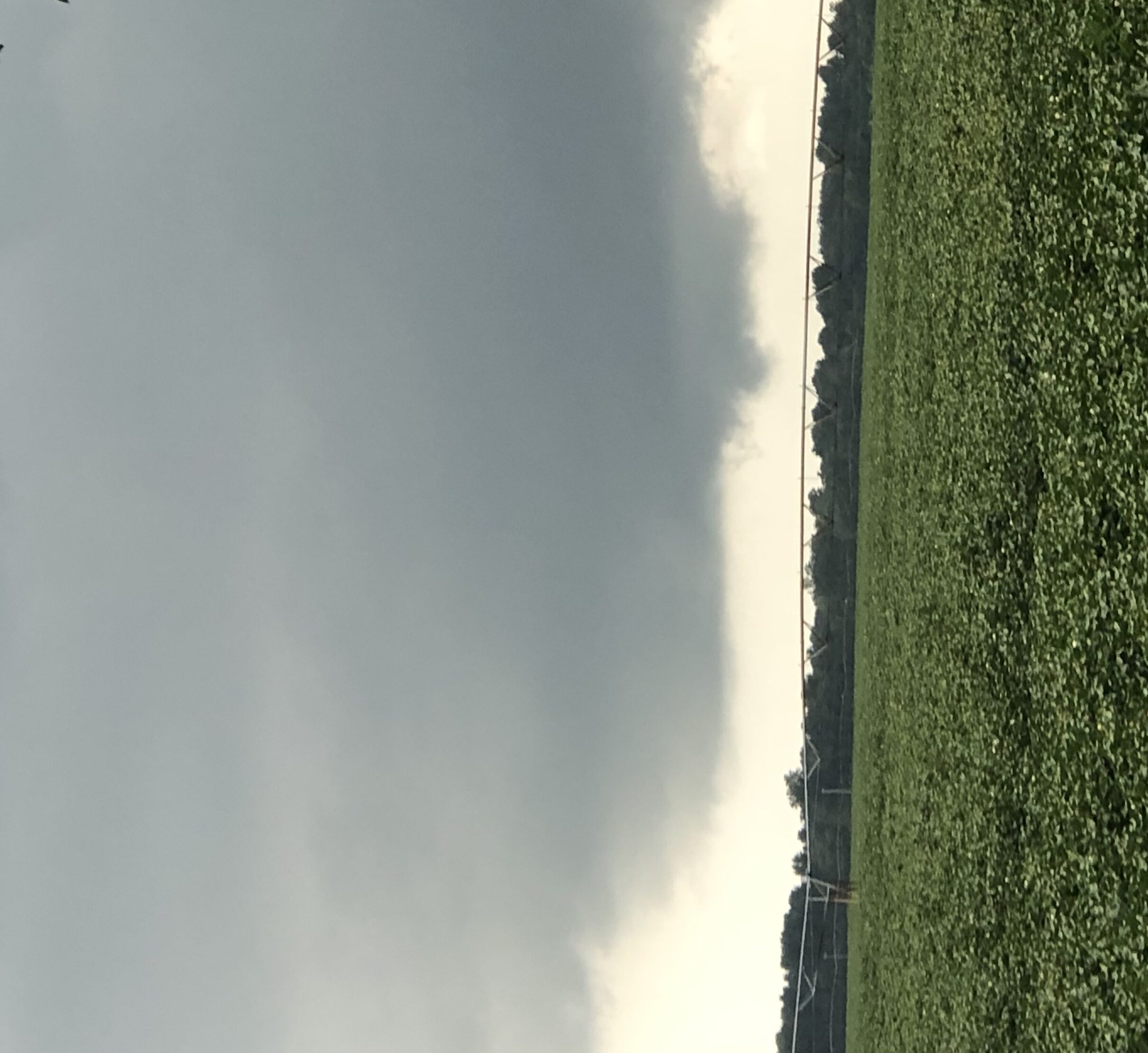 Weatherfouru