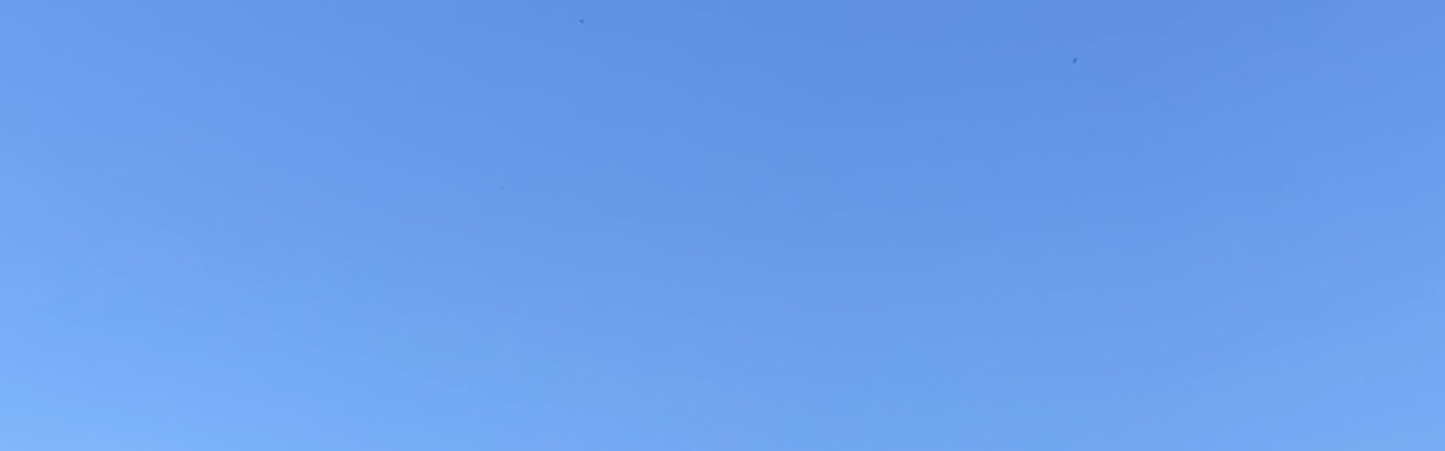 ds_wx