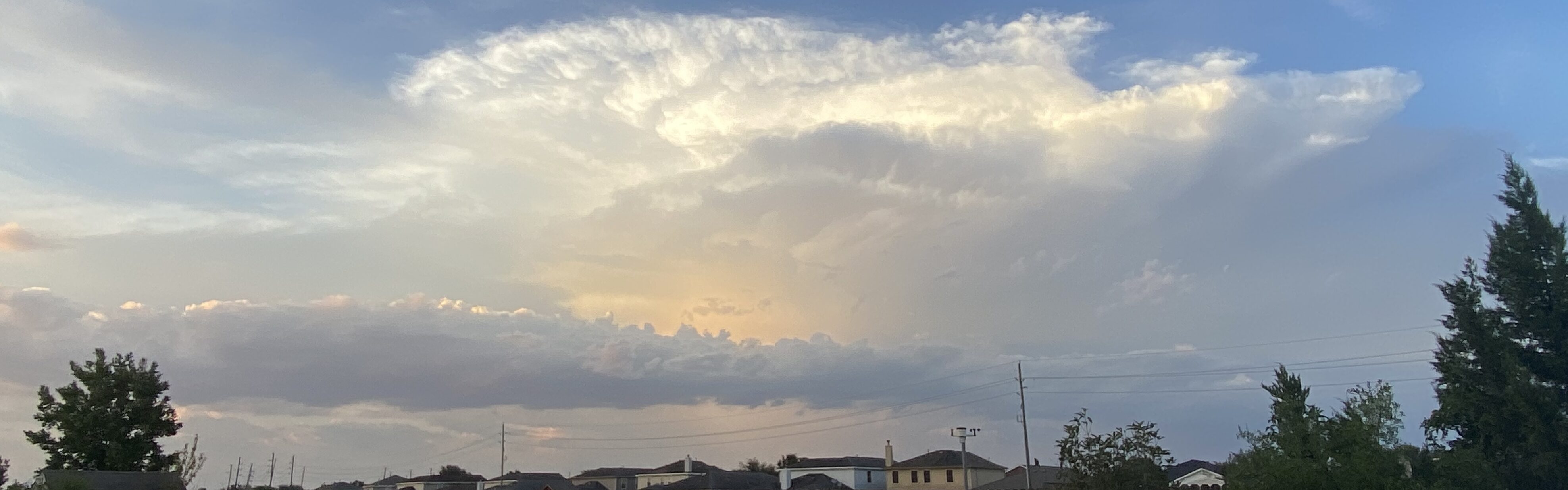 Andrew_Wx